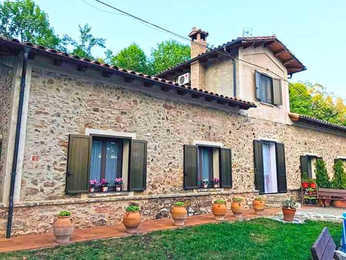Spacious House In Ogassa With Terrace And Bbq Екстериор снимка